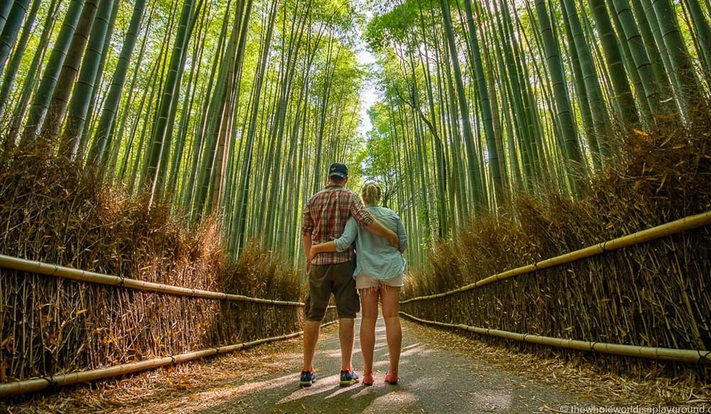 Bamboo Forest