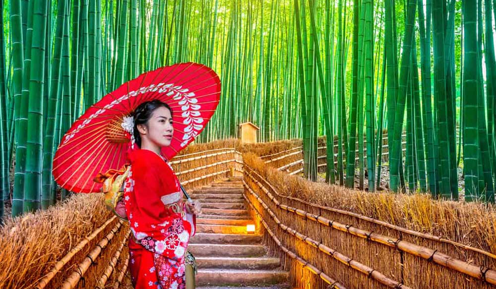 Bamboo Forest